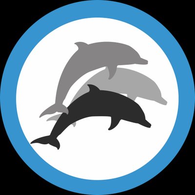 3Dolphins