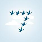 7Geese