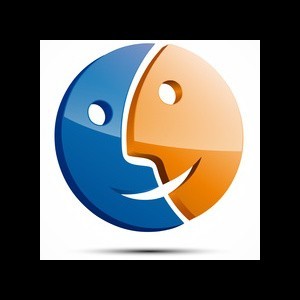 AdIntel App for Salesforce