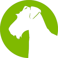 Aireforge Studio