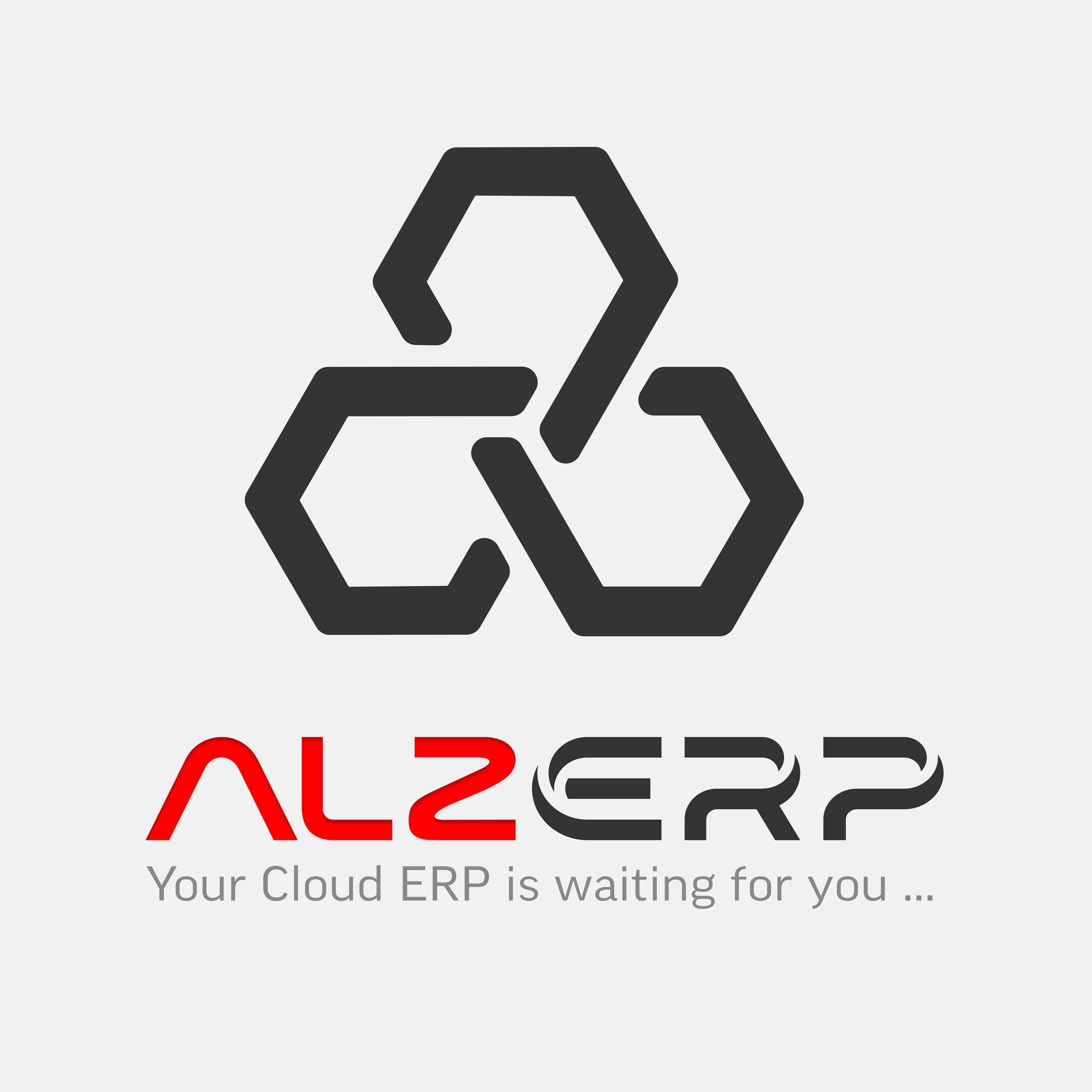 ALZ ERP