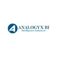 Analogyx BI