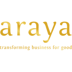 Araya Visitor Analytics