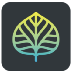 Aspen Discovery