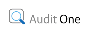 Audit One