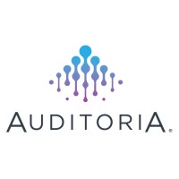 Auditoria SmartVendor