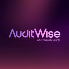 AuditWise