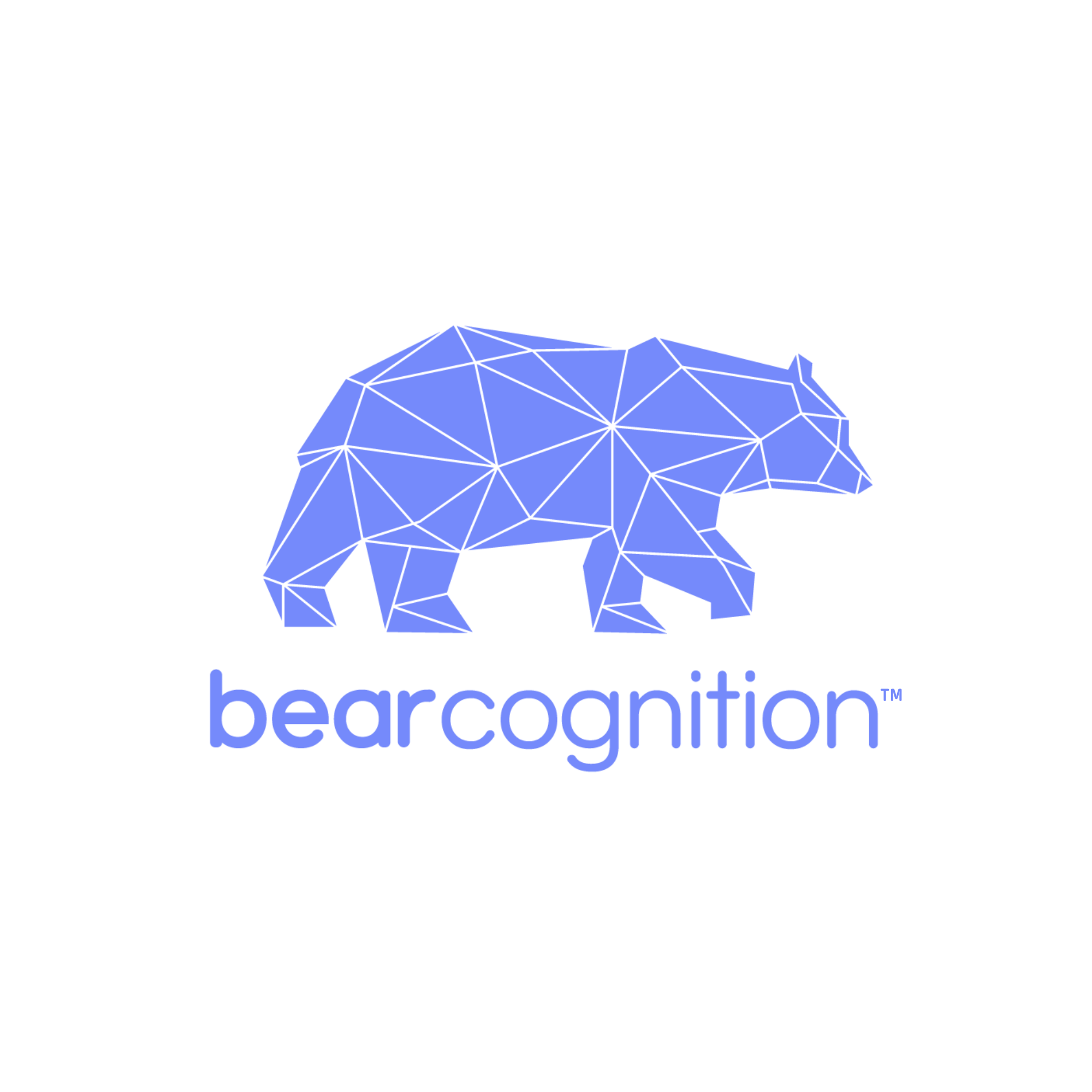 Bear Cognition