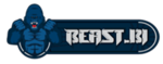 Beast.bi Analytics