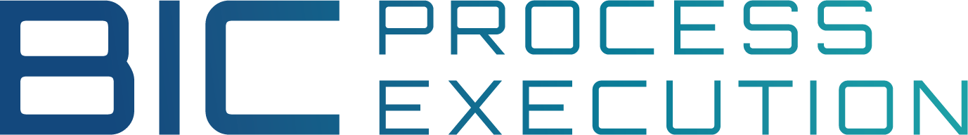 BIC Process Execution