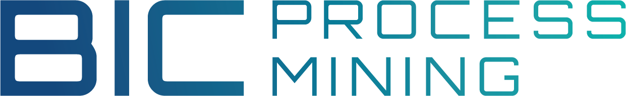 BIC Process Mining