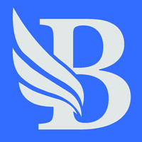 BidLight