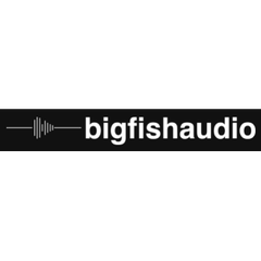Big Fish Audio