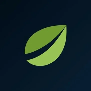 Bitfinex Pay