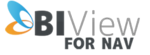 BIView for NAV