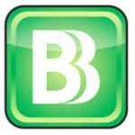 BizBudg Online