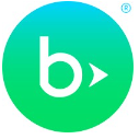 Blackbaud Fundraiser