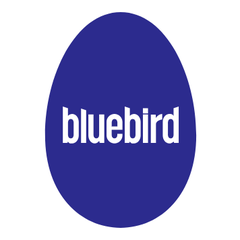 Bluebird