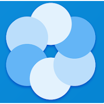 Bluecoins
