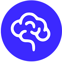 Brainvine