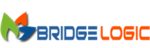 Bridge Logic Loan Management Software