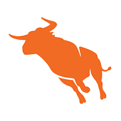 Bullhorn Time and Expense