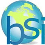 Business Systems Integrators