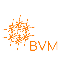BVMax