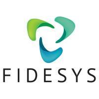 CAE Fidesys