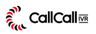 CallCallIVR