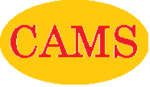 CAMS Dealership Management System