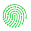 Chlorophyll