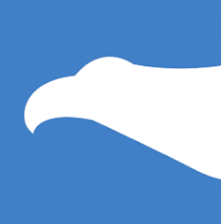 CityFALCON
