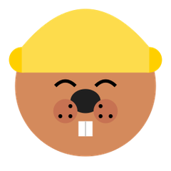CodeBeaver