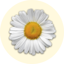 Cogilog Paye