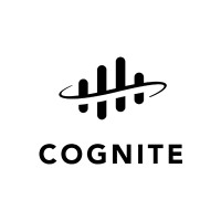 Cognite Data Fusion