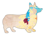Corgilytics