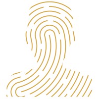 CultureID Insights