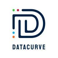 DATACURVE LogicWare