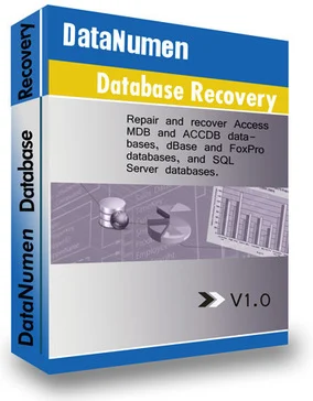 DataNumen Data Recovery
