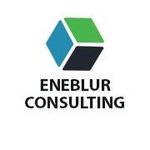 Eneblur Degree Feedback Software