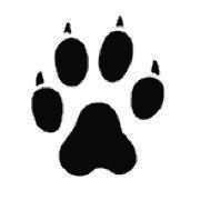 Digital Cheetah Volunteer/Member Empowerment