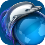 Dolphin