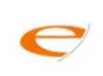 e-Solution