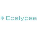 Ecalypse Car Rental Software