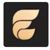 Elisi