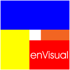 enVisual360