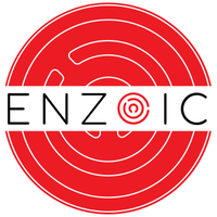 Enzoic for Active Directory Lite