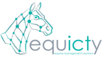 Equicty