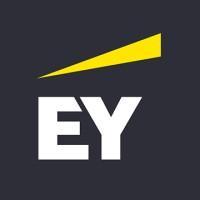 EY Global Tax Platform